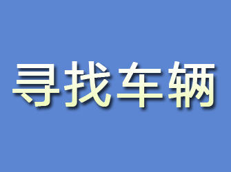 带岭寻找车辆